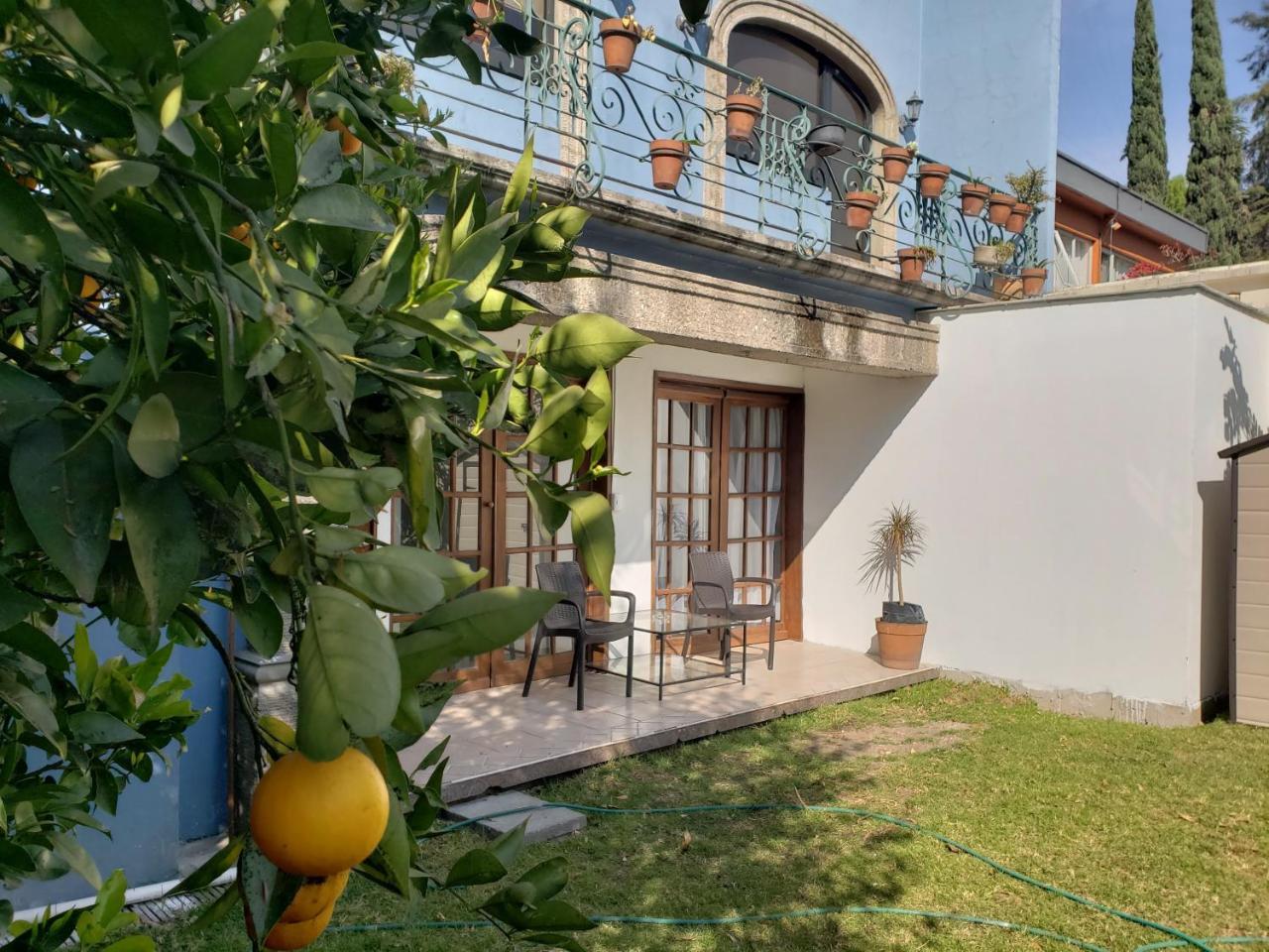مدينة مكسيكو Singular Coyoacan Pepper My Love! المظهر الخارجي الصورة